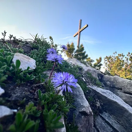 Lejlighed Gasser Reutte